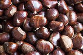 chestnuts for sale in market. a pile of fresh shiny chestnuts for sale in Central Market