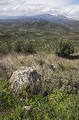 landscape near Mycenae. rock and rugged landscape near Mycenae