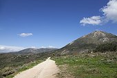 track near Mycenae. gravel path through the rugged landscape near Mycenae
