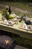 Picnic table filled with wine and grapes at a party