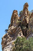 Picturesque rock formations line the road on the way up Mount Lemmon. With a summit elevation of 9,159 feet (2,792 m), it is the highest point in the Santa Catalina Mountains. It is located in the Coronado National Forest north of Tucson, Arizona, U [...]