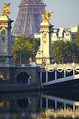 EIFFEL tower and ALEXANDRE III bridge in PARIS