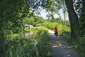 Cyclist on the Monmouth Canal cycle towpath in Wales, UK.