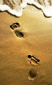 close up shot of footprints on golden color sandy beach