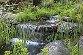Backyard waterfall with lush gardens, White Gate Inn, Asheville, North Carolina