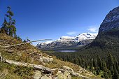 Two Medicine Lake Trail, Eastside of Glacier National Park, Montana