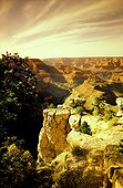 The Grand Canyon is a steep-sided canyon carved by the Colorado River in the U.S. state of Arizona in North America. The canyon and adjacent rim are contained within Grand Canyon National Park, one of the most visited parks in the United States. The [...]