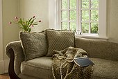 Sofa with book and tulips, Hilltop Manor, Hot Springs, Arkansas