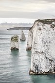 Chalk cliffs, Dorset, UK