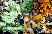 vegetable compost garbage
