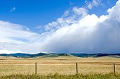 The 'Cowboy Trail' in Southern Alberta is open range land with some very large cattle ranches. The foothills were once the homes of bison and Prairie Grizzlies.