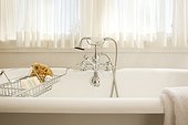 Bathroom with bathtub in white theme, Merino Manor, Hudson, New York