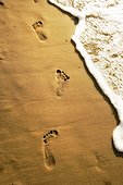 close up shot of footprints on golden color sandy beach