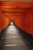 Fushimi Inari shrine, path of torii in Kyoto Japan