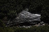 A large black rock on the bank of a mountain stream in a valley above the village of Vals in Switzerland