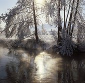 Hoar frost at the Wiesent River, Franconian Switzerland, Upper Franconia, Franconia, Bavaria, Germany, Europe