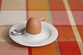 Boiled egg for breakfast