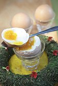 Boiled egg in an egg cup