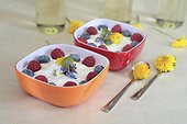 Yoghurt cream with berries