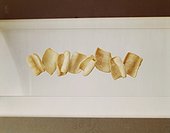 Potato crisps on white background, close-up