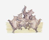 Illustration of baby bats