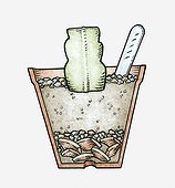 Illustration of stem section of cactus inserted into compost, crocks and gravel at bottom of pot