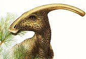 Illustration of Parasaurolophus dinosaur chewing a branch