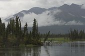 Alaska Range, Alaska. boreal pond, Alaska Range, Alaska
