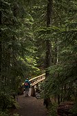 Mt. Rainier, Washington.. Female hiker crosses bridge on path on Mt. Rainier.