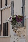 Rome, Italy.. A balcony with flowers on it.