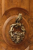 Rome, Italy.. A close view of a door knocker.