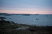 Spruce Head Island, Maine, United States of America.. Lobster boats head out into the harbor at sunrise.