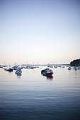 Rockport, Maine, United States of America.. A large group of boats float in a Maine harbor.
