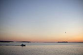 Spruce Head Island, Maine, United States of America.. A lobster boat heads out into the harbor to start the work day.