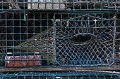 Rockport, Maine, United States of America.. Lobster traps are stacked on top of each other in a Maine harbor.