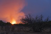 Savuti, Chobe National Park, Botswana. A bushfire on the hills surrounding the Savuti Marsh.