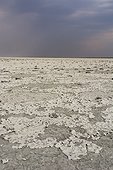 Nxai Pan, Botswana. A storm approaching the salt pan.