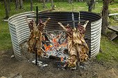 Asado al palo, roast lamb, cooks nailed to a stick over open coals.. Fundo San Lorenzo, Aysen, Chile.