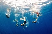 Five women do a synchronized back flip underwater.. British Virgin Islands.
