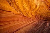 Arizona, USA.. Lines and curves in the sandstone in Cottonwood Cove.