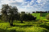 Italy ITA/Tuscany, Orcia Valley Mansion house on the hill