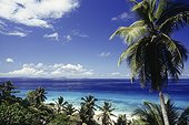 Seychelles Seychelles/Frégate Frégate Island, palms and sea