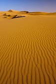 Maroc  Morocco/Merzouga Sand dunes