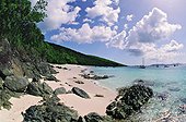 Îles Vierges des États-unis US Virgin Islands/Saint John Honeymoon Beach, one of the six marvellous beaches of the Caneel Bay Resort, built by Laurence Rockefeller