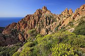 France FRA/Corsica, Piana Les Calanches, the typical rock formations of the Unesco listed site on the Gulf of Porto