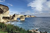 France FRA/Corsica View of the white cliffs and 'Grain de Sable' rock