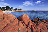 France FRA/Corsica, Porto-Vecchio Palombaggia Natural Reserve with its beaches is one of the highlights of the coast near Porto Vecchio