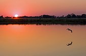 Botswana Botswana/North West District, Maun Sunset on a lagoon in Kwara, a private concession in the eastern part of the Okavango Delta