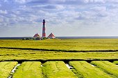 Germany, Schleswig-Holstein, Westerhever, North sea, Wattenmeer National Park, Eiderstedt peninsula, Westerheversand lighthouse