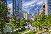 United States, Illinois, Chicago, Downtown, Loop, Chicago Riverwalk, on the background from the left the Trump International Hotel and Tower and the Wrigley Building